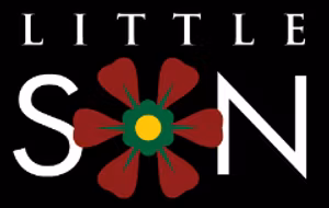 Little SON logo