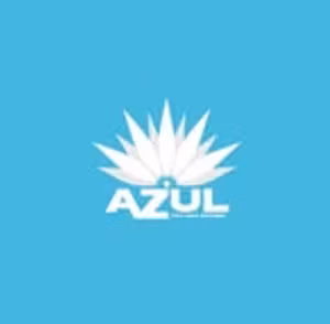 Azul Tex Mex logo