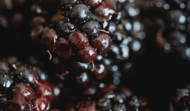 BLACKBERRY TART