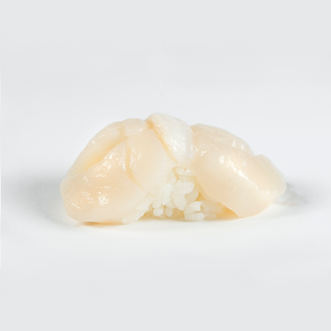 Hotate - Sea Scallop