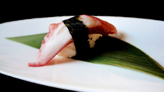 Octopus Sushi