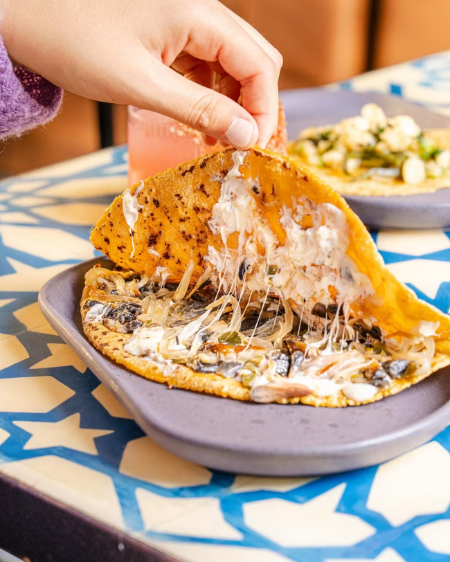 Flour Quesadilla