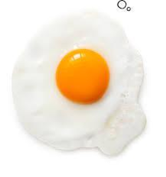 Side Egg (1)