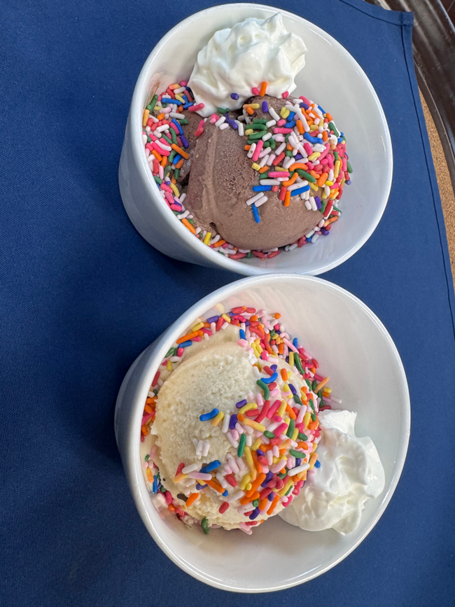 Chocolate or Vanilla Ice Cream