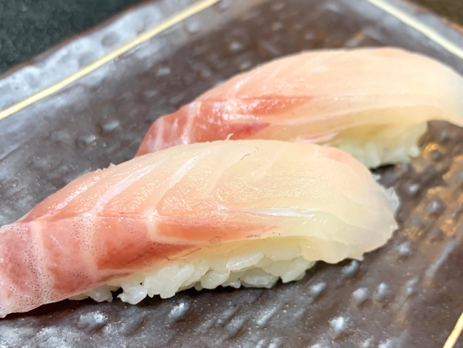 Petite Snaper Nigiri