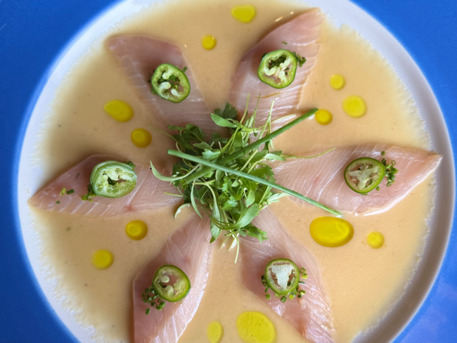 Yellowtail Crudo