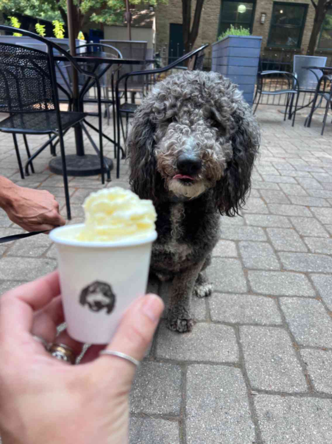 "Puppuccino”
