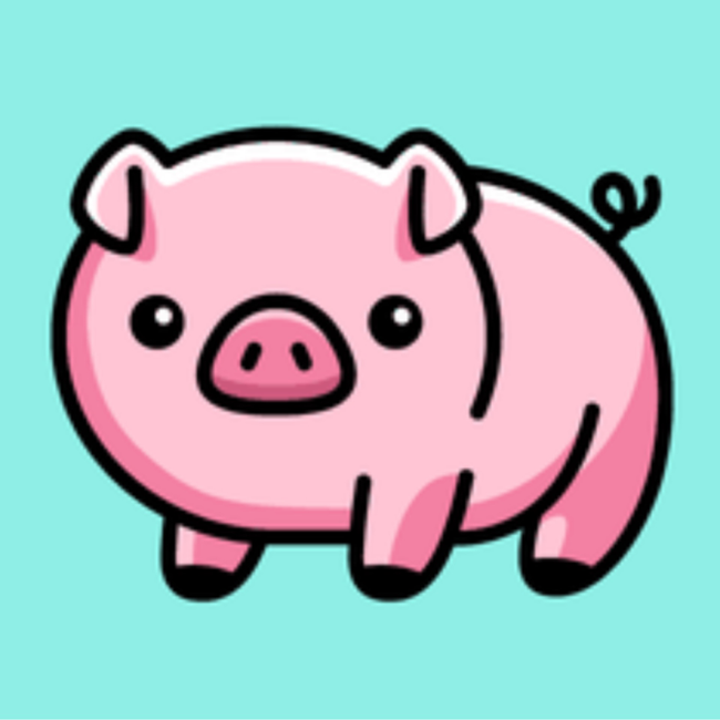 Pulled Pork