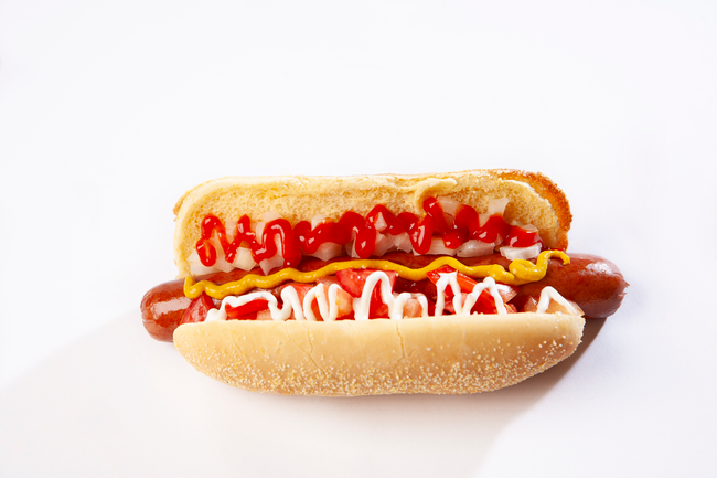 N.Y Street Dog