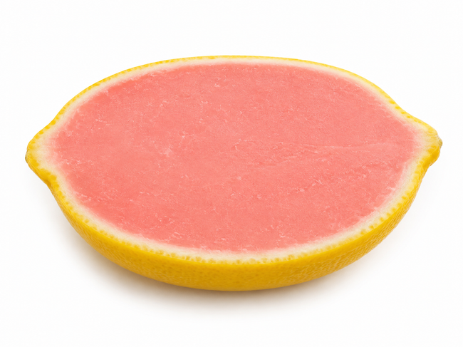 Watermelon Lemonade Fruit Sorbet Shell