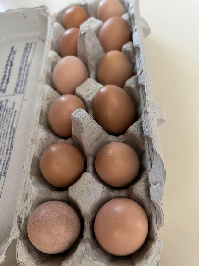 Farm Fresh Eggs (dozen)