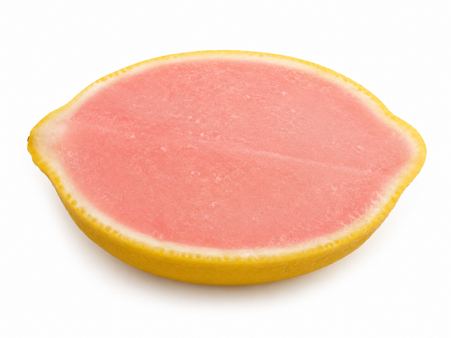 Strawberry Lemonade Fruit Sorbet Shell