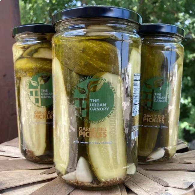 The Urban Canopy, Garlic Dill Pickles