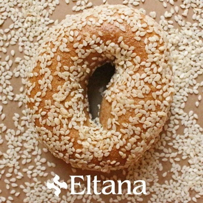Sesame Bagel