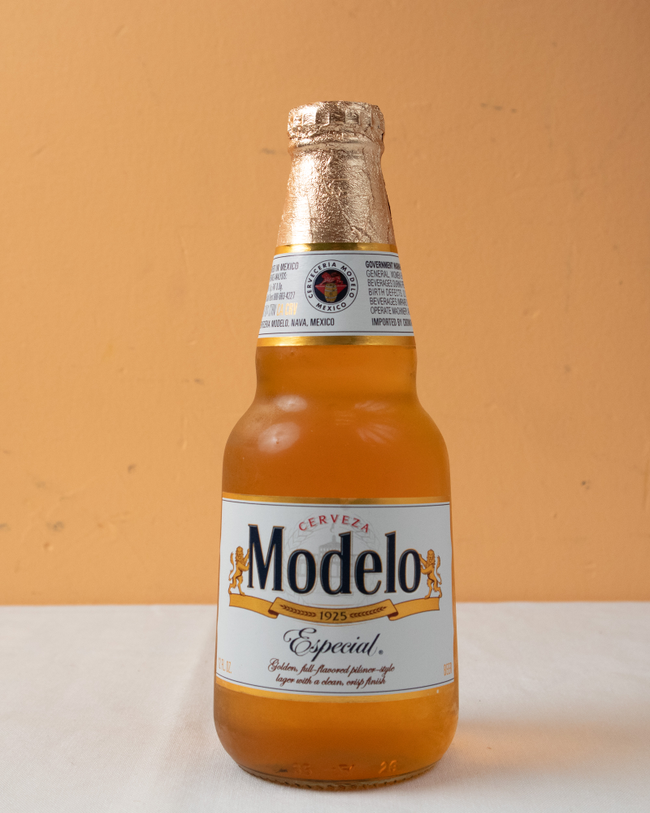 Modelo