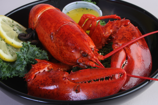 Single Lobster