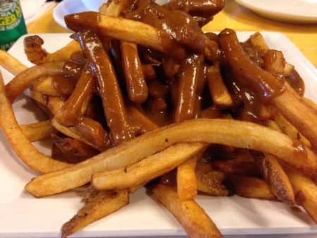 Gravy Fries Large