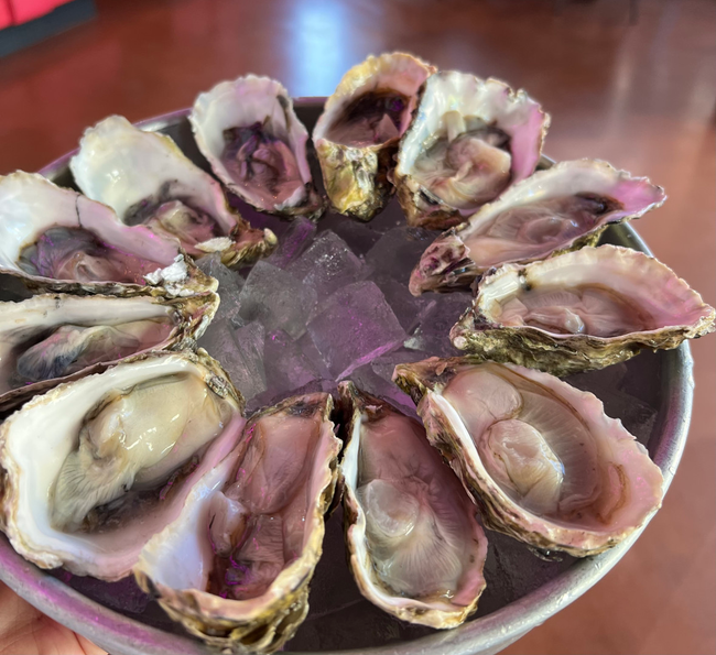 Fresh Oysters (6)