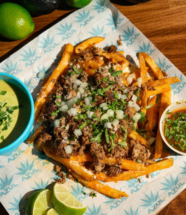 Birria Fries