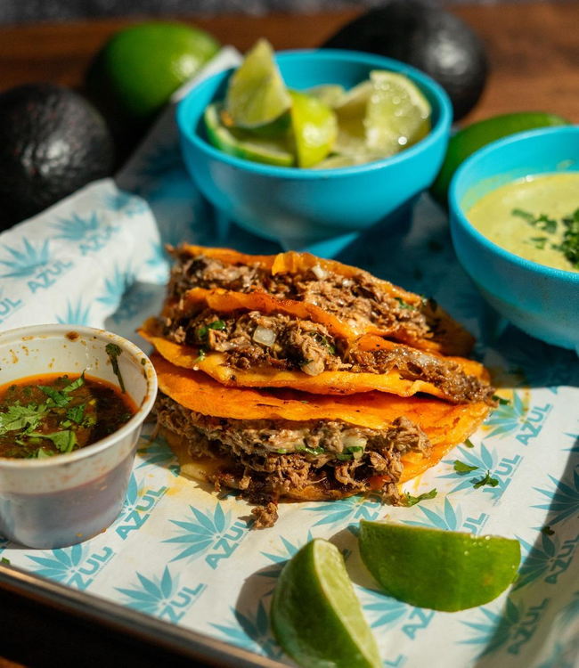 Birria Tacos (3)