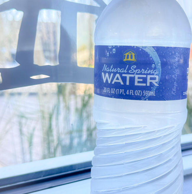 Dino's Water