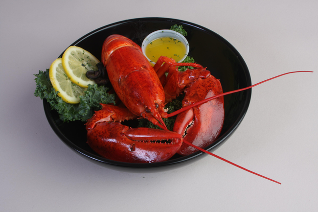 Single Lobster