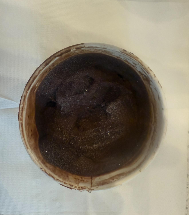 chocolate ice cream 8oz