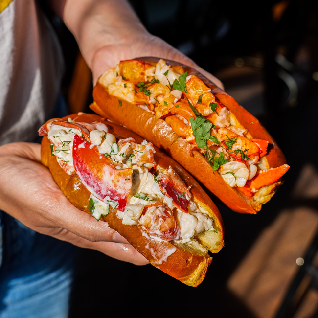 CT Harvested Lobster Roll