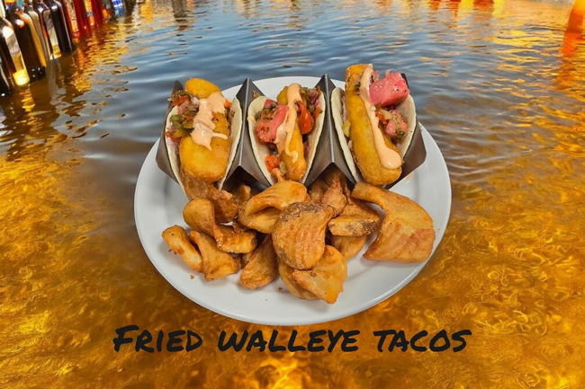 Fried Walleye Taco