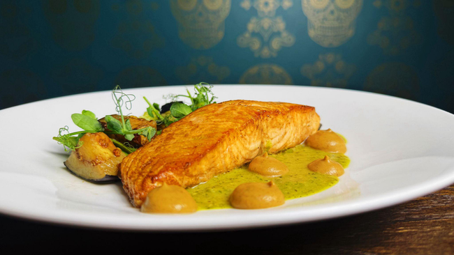 Salmon