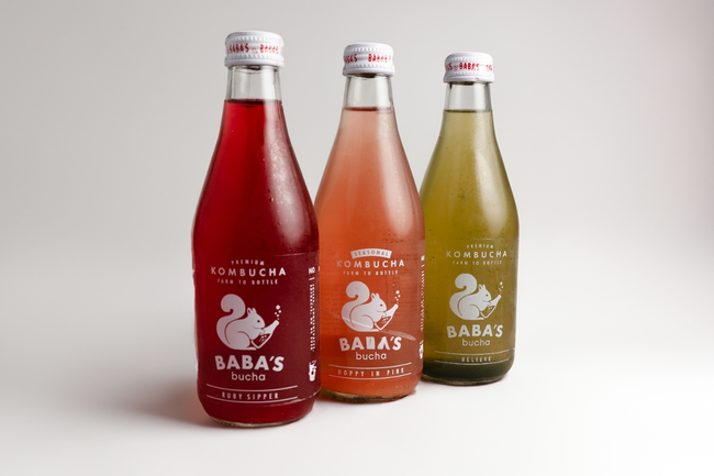 Kombucha - Rotating Selection