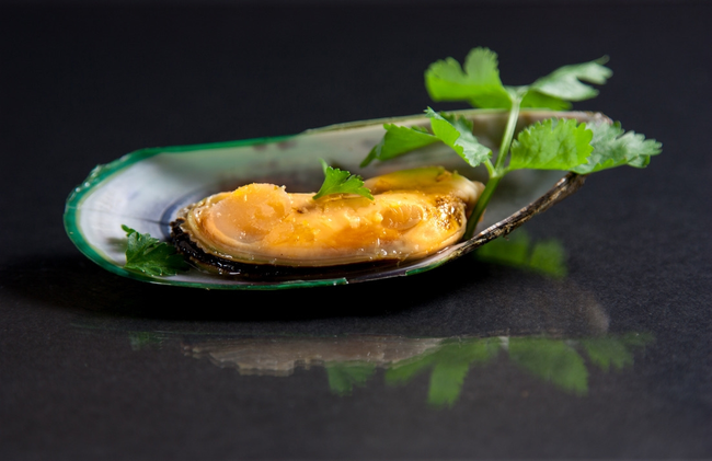 Herb Mussel