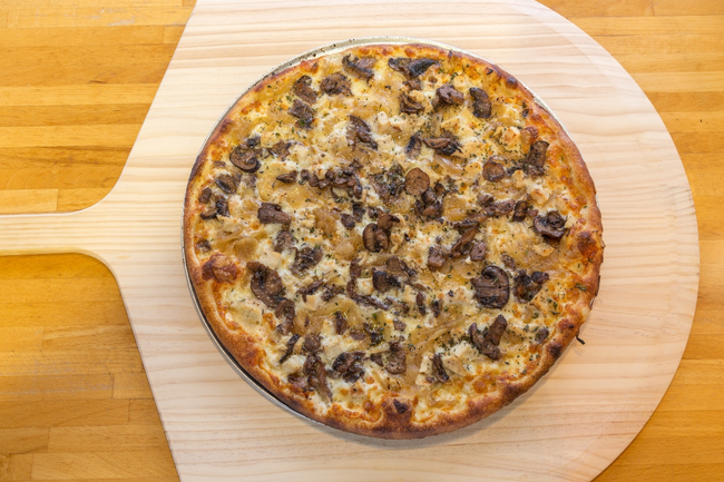 18” Elm City:  white pizza, fontina cheese, grilled chicken, caramelized onions, sauteed wild mushrooms