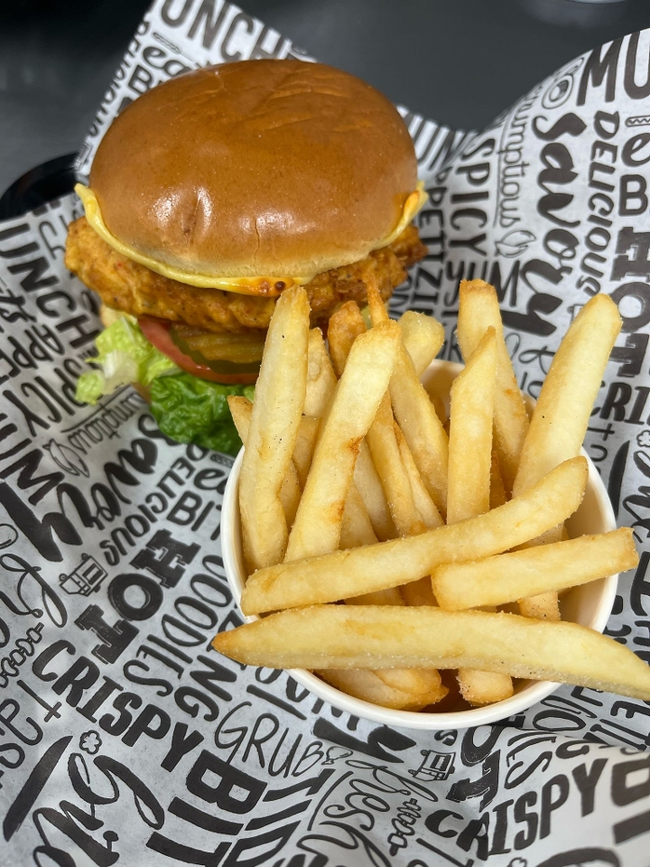 Chicken Burger with Fries