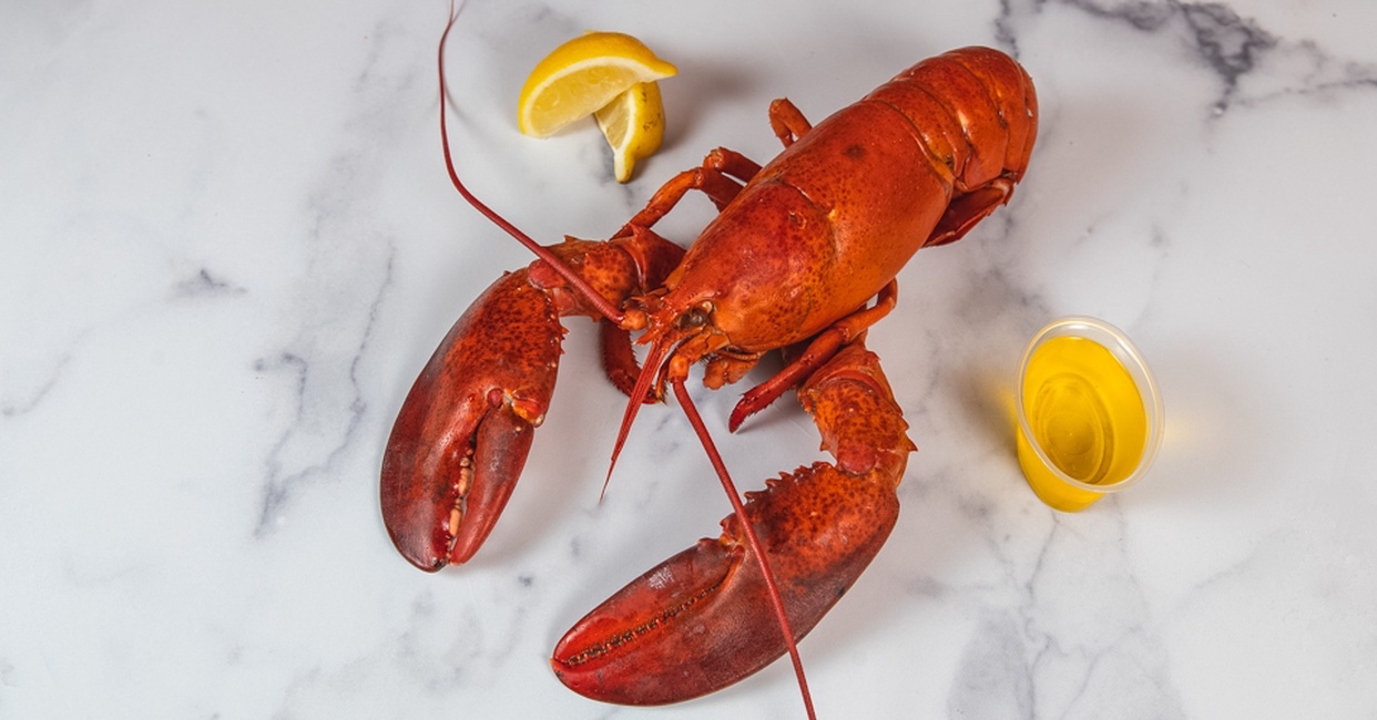 Steamed Lobster 1.5 LB