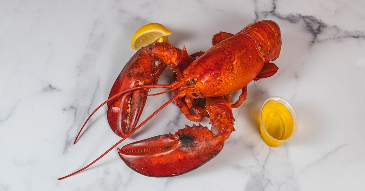Steamed Lobster 2.5 LB