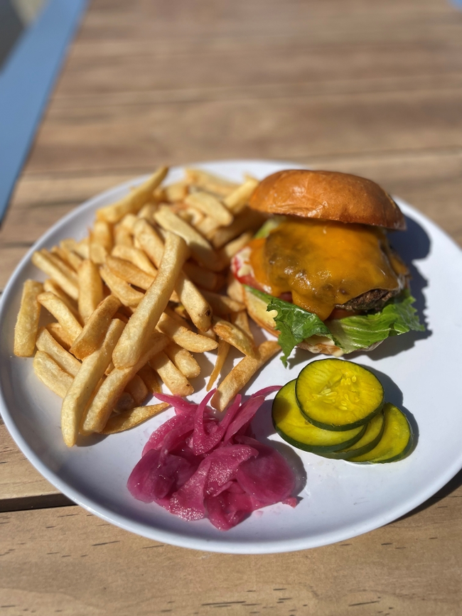 Hazy Plain Burger (Meat / Bun Only)