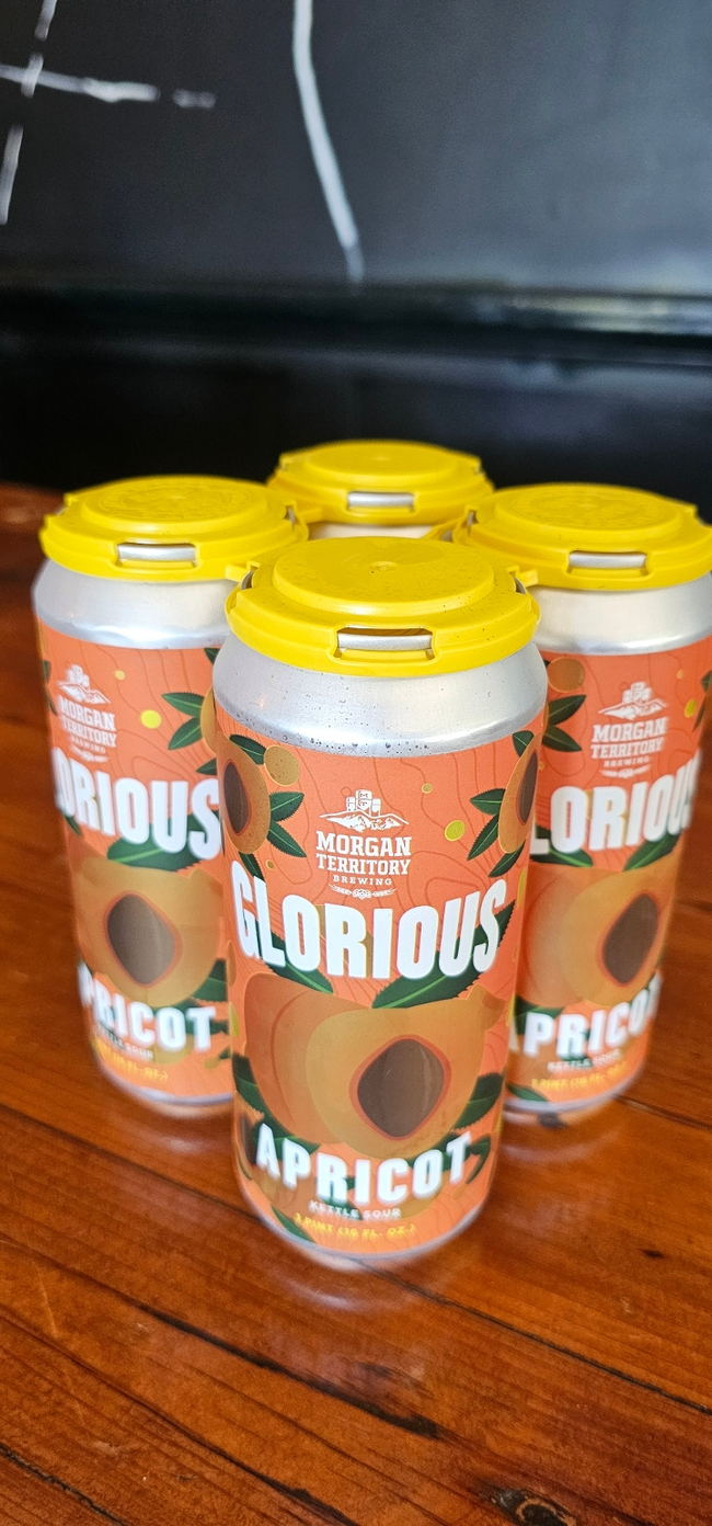 4PK Morgan Territory - Glorious Apricot