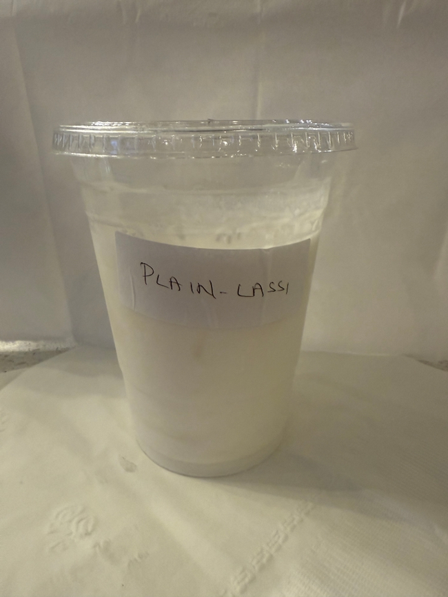 plain lassi (yogurt shake)