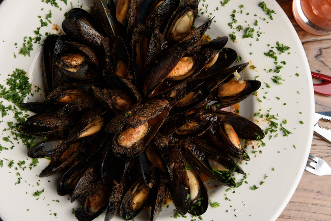 Mussels