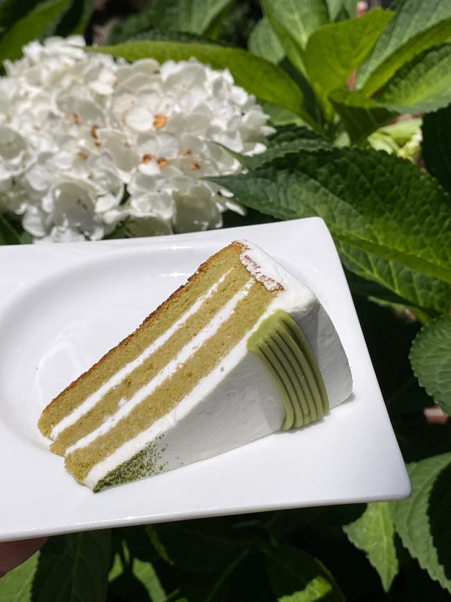 Uji Matcha Shortcake