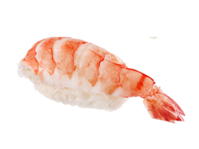 Shrimp Nigiri