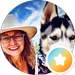 Siberian Husky Adventures