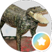 quomopete petequomo