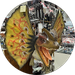 Dilophosaurus S.