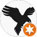 Rocky Rook
