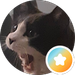 Cito