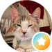 J _