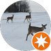 Rayven K