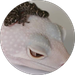 Danielle Dani